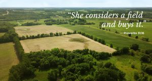 She Considers a Field and Buys It —  The Property Search Process