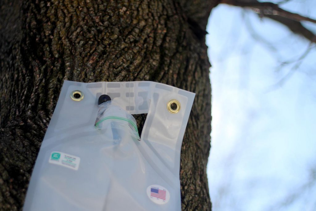 Goodie bags with sweets and printed with the logo of the SAP software...  News Photo - Getty Images