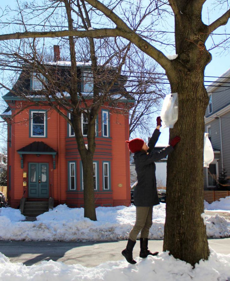 Small Batch Maple Syrup in Your Home Kitchen — A Practical Guide to