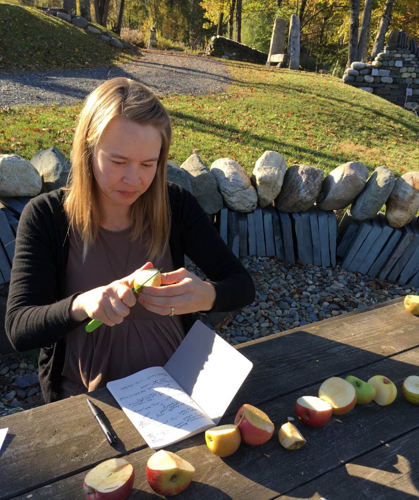 Finding the Best Heirloom Apples for the Small Home Orchard : This Inspired  Life