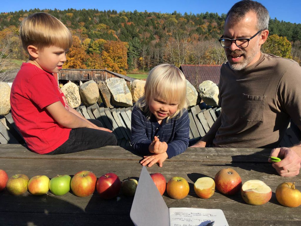 Heirloom apple taste testing panel